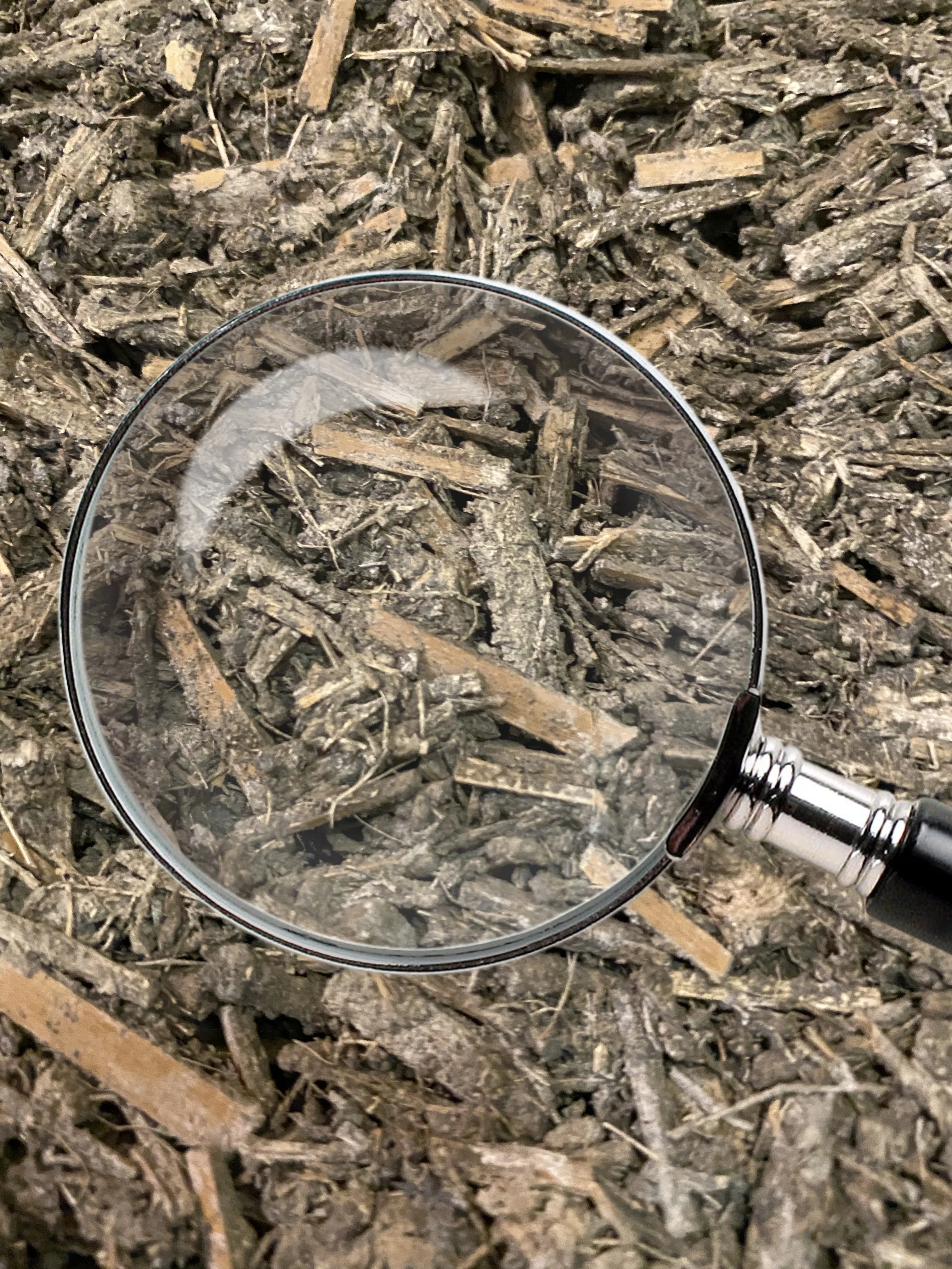 ProductionEquipmentImageAlt