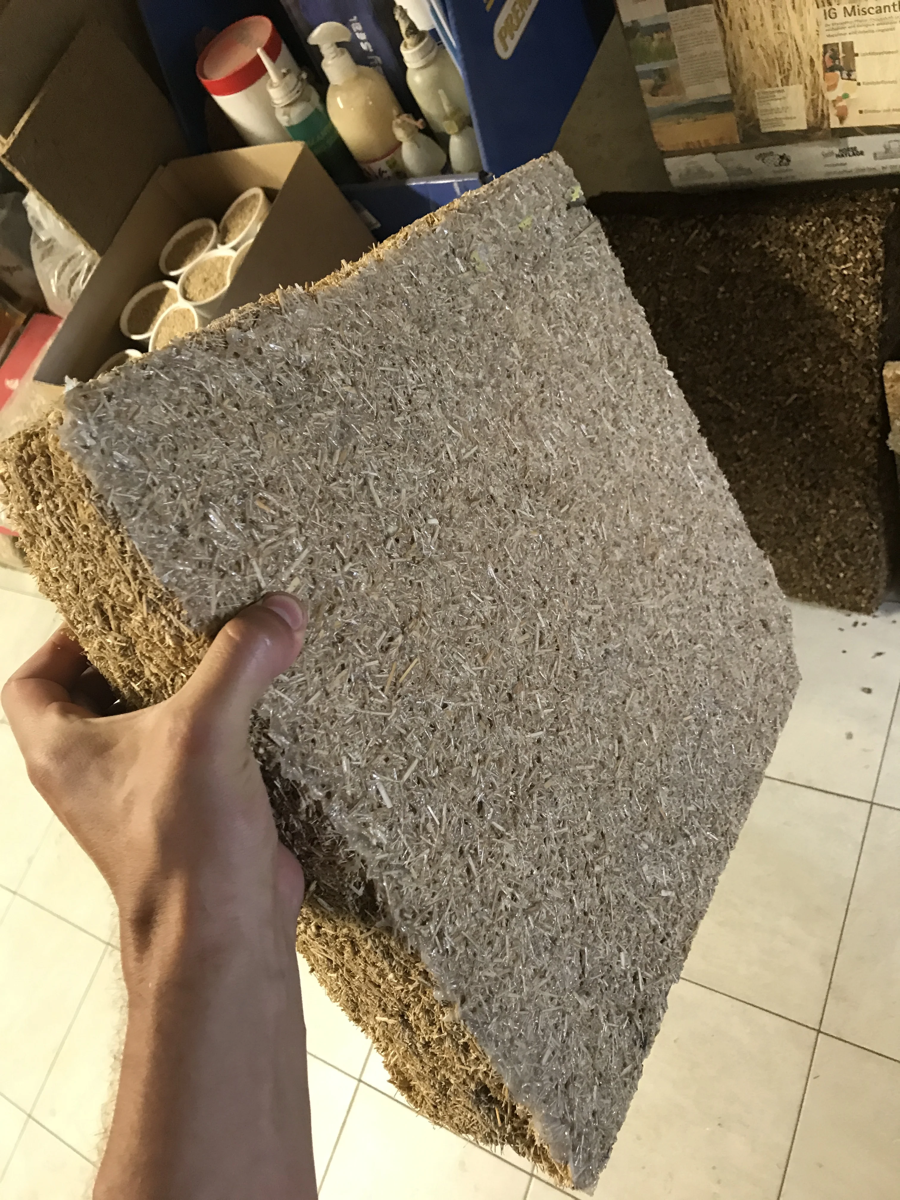 HarvestingImageAlt 6